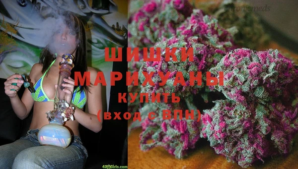 прущий лед Алзамай