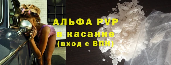 прущий лед Алзамай
