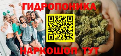 apvp Кандалакша