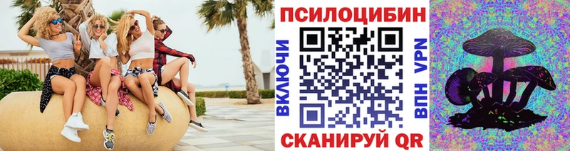 Псилоцибиновые грибы Psilocybe  Кропоткин 