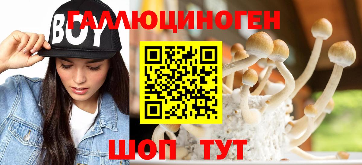 Галлюциногенные грибы прущие грибы Кропоткин