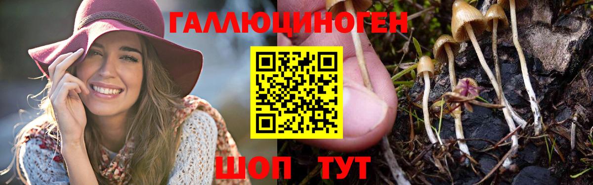 Псилоцибиновые грибы MAGIC MUSHROOMS  Вход с VPN  Кропоткин  дарнет шоп  Псилоцибиновые грибы ЛСД 